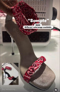 Red Bandana Pleasers
